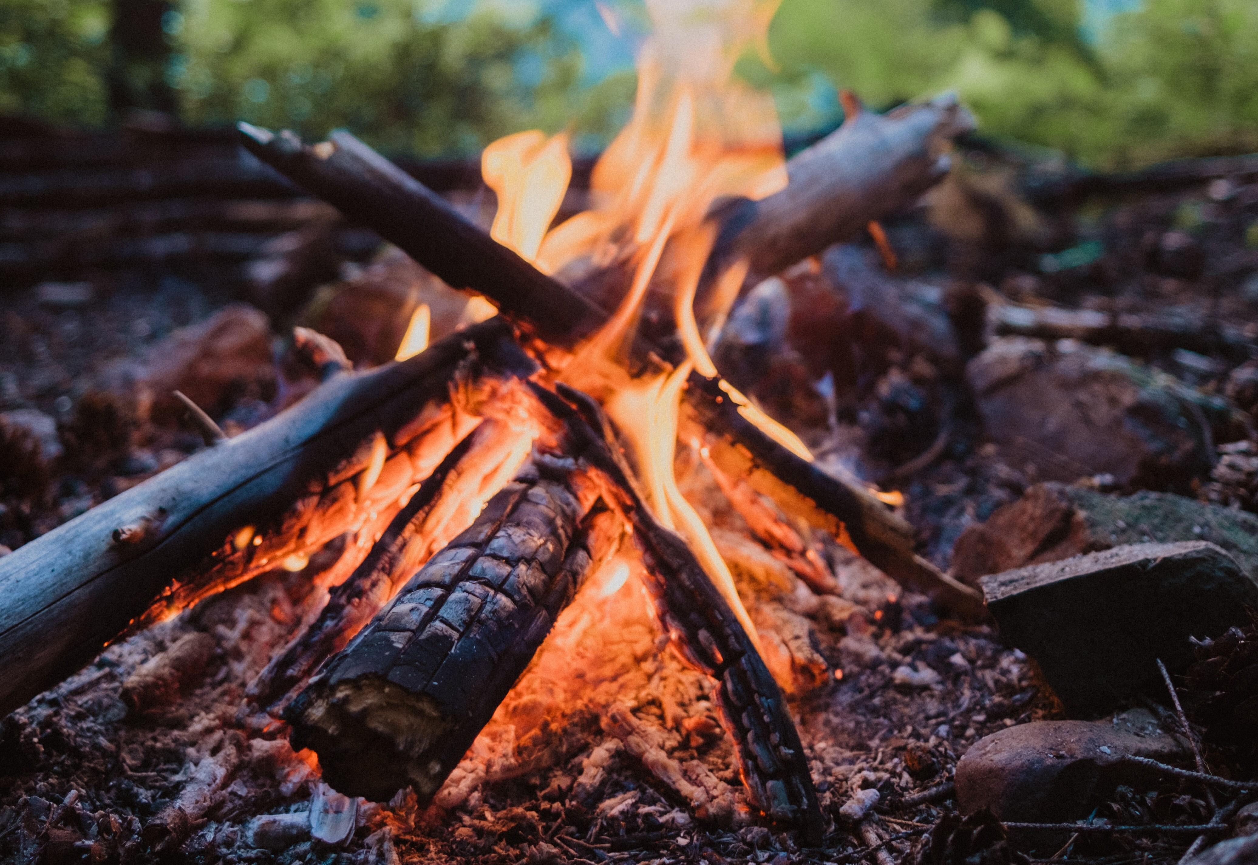 brian-beckwith-MCGbBgujLMs-unsplashh brian-beckwith-MCGbBgujLMs-unsplashh