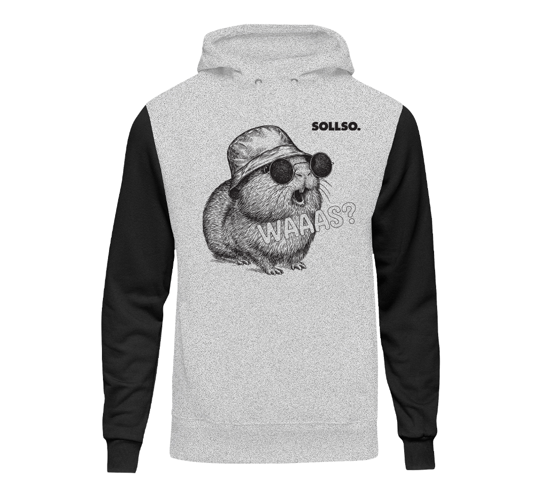 SOLLSO. Hoodie „Guinea Pig“, Farbe Gray/Black