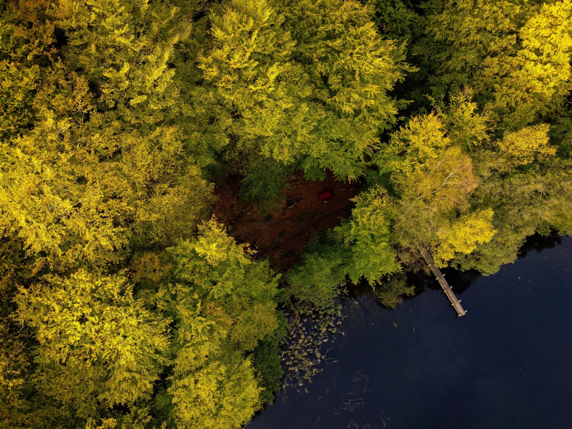bjarke-rosenbeck-CYLpJHuAy50-unsplash bjarke-rosenbeck-CYLpJHuAy50-unsplash
